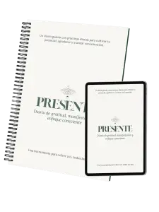 Presente-Pausa-y-equilibrio